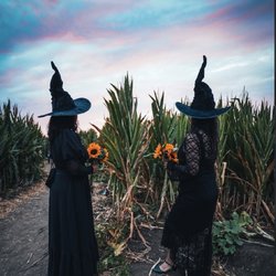 Conejo Family Farms