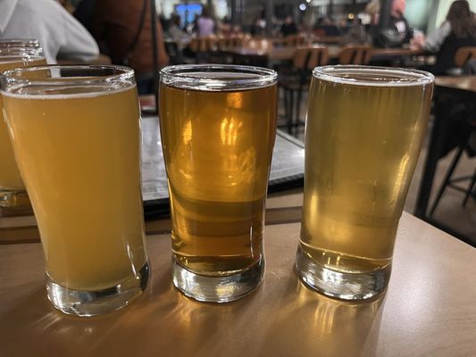 Public Brewing Company by null