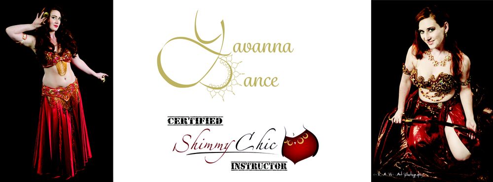 Salon de Baile Dance & Fitness Studio Logo