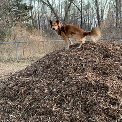 St. Anthony Off-Leash Recreation Area