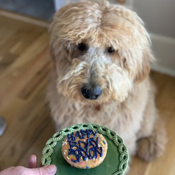 Dog City Bakery II - Pet Stores Near Me - Sandy Springs, Georgia