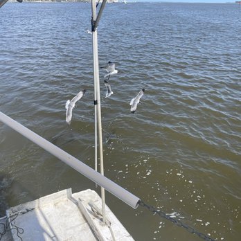 Shrimping Trip - Fishing Near Me - Biloxi, Mississippi Shrimping Trip - Fishing Near Me - Biloxi, Mississippi