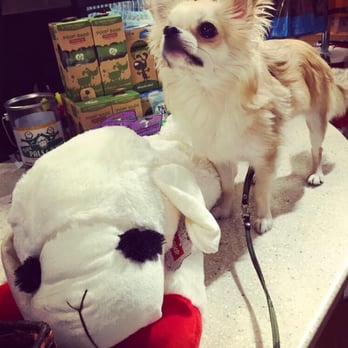 Two Pals & A Pup - Love this store!!!! - Pet Stores Near Me - Denver, Colorado Two Pals & A Pup - Love this store!!!! - Pet Stores Near Me - Denver, Colorado