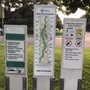 Photo of Baggley Park