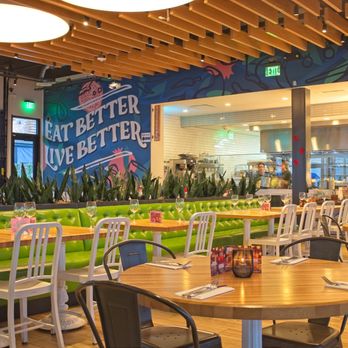 True Food Kitchen - Indoor Dining Area - New American Near Me - Tampa, Florida True Food Kitchen - Indoor Dining Area - New American Near Me - Tampa, Florida