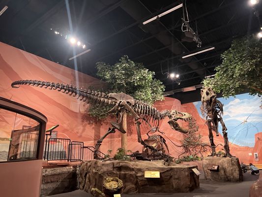 Mountain America Museum of Ancient Life at Thanksgiving Point by null