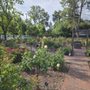 Photo of Wilton Memorial Rose Garden