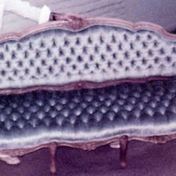 Upholstery by Frank Barbera