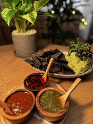 Amparo Fondita by null