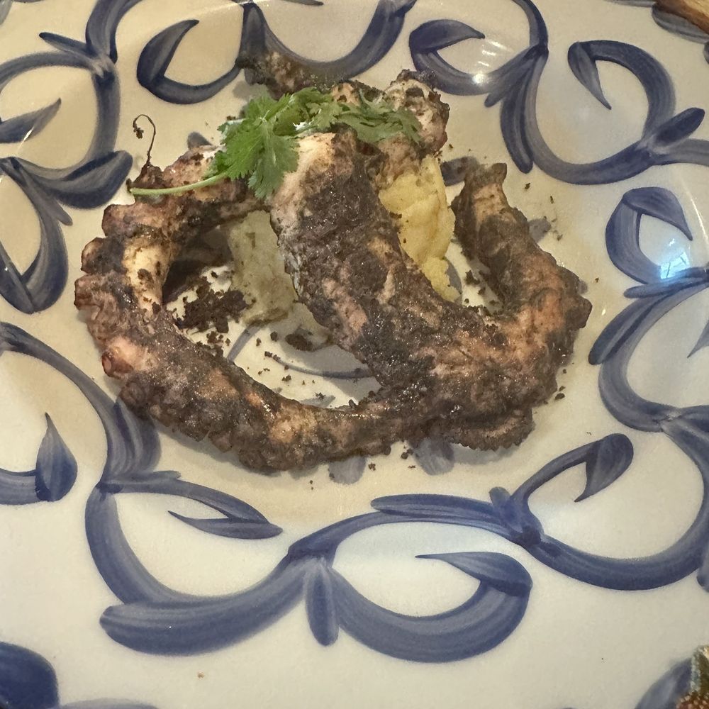 Don Artemio - Grilled octopus - Mexican Near Me - Fort Worth, Texas
