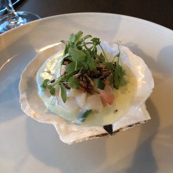 Scales - Scallop Ceviche - Seafood Near Me - Portland, Maine Scales - Scallop Ceviche - Seafood Near Me - Portland, Maine