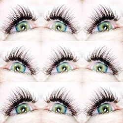 Waxerella's at Windsor Lasherie - Eyes wide Open