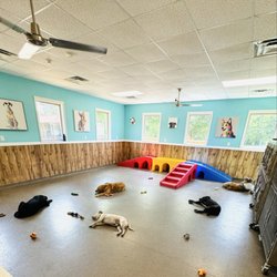 Paws On The Duck - Indoor Playroom