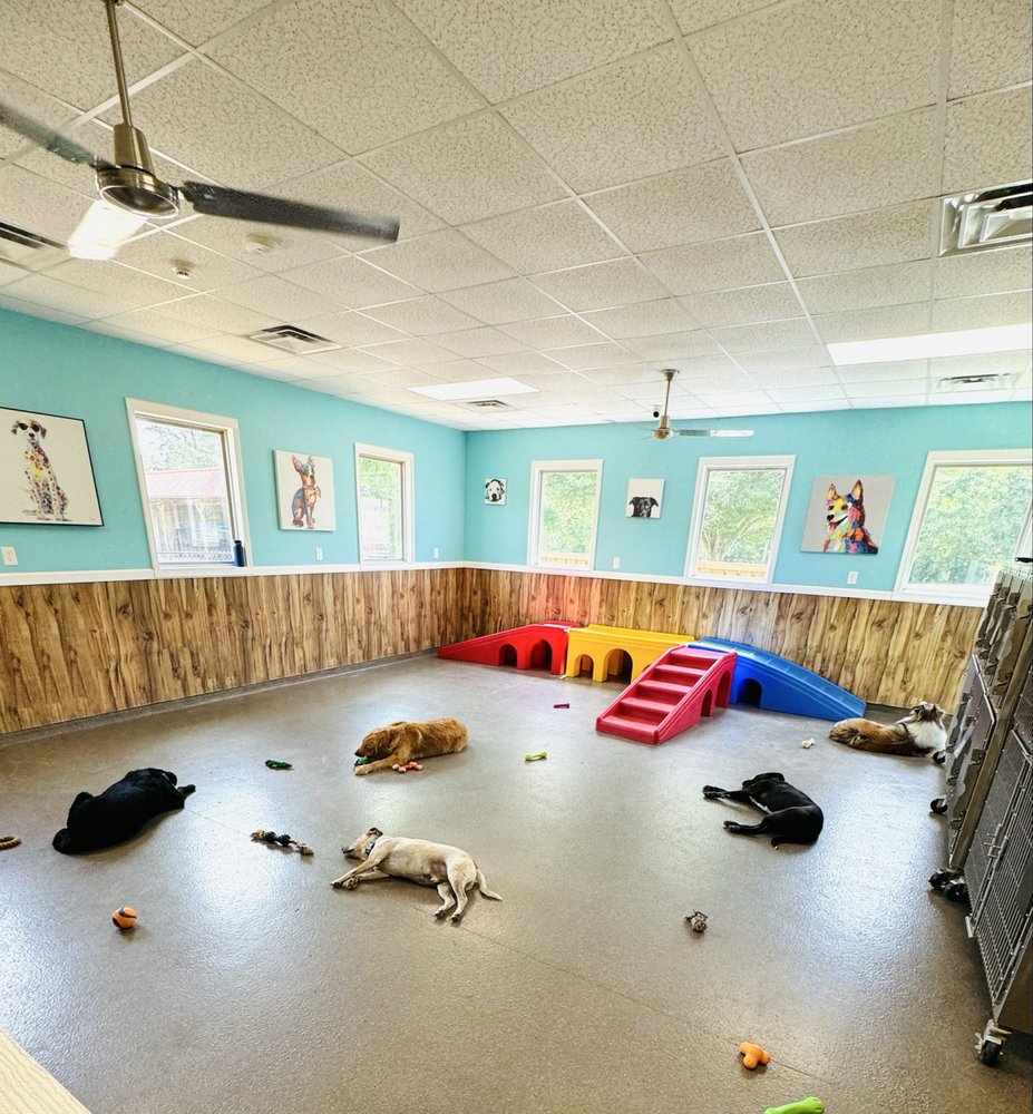 Paws On The Duck - pet boarding facility in Columbia, TN