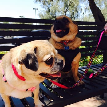 Sunrun Kennels - Pet Sitting Near Me - Newport Beach, California Sunrun Kennels - Pet Sitting Near Me - Newport Beach, California