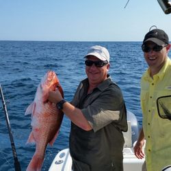 AMERICAN RED SNAPPER