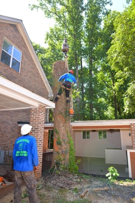 Tree Removal Services - Variety of recent Tree Removal service projects completed by Squirrel Tree Services - Please call is today to schedule Free Estimate !
(404) 397-5820 Tree Removal Services - Variety of recent Tree Removal service projects completed by Squirrel Tree Services - Please call is today to schedule Free Estimate !
(404) 397-5820