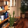 Hawthorn Salon gift card