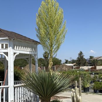 Sunshine Growers Nursery - Nurseries & Gardening Near Me - Yucaipa, California Sunshine Growers Nursery - Nurseries & Gardening Near Me - Yucaipa, California