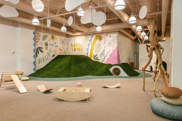 Wild Child Gym by null