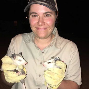 Frontier Trapper - Pest Control Near Me - Stilwell, Kansas Frontier Trapper - Pest Control Near Me - Stilwell, Kansas