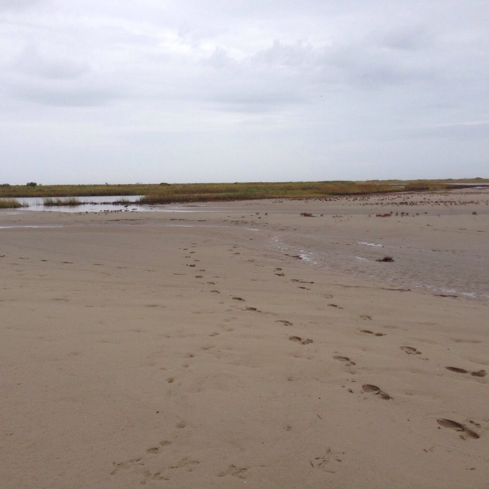 Big Reef Nature Park - Hiking Near Me - Galveston, Texas Big Reef Nature Park - Hiking Near Me - Galveston, Texas