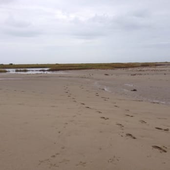 Big Reef Nature Park - Hiking Near Me - Galveston, Texas