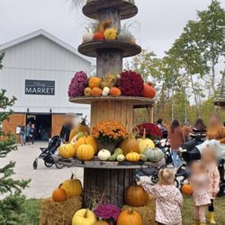 Pine Ridge Hollow - Fall Fair. $12.00 TICKETS. Sept. 23, 2023.