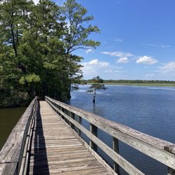 Martin Dies Jr State Park