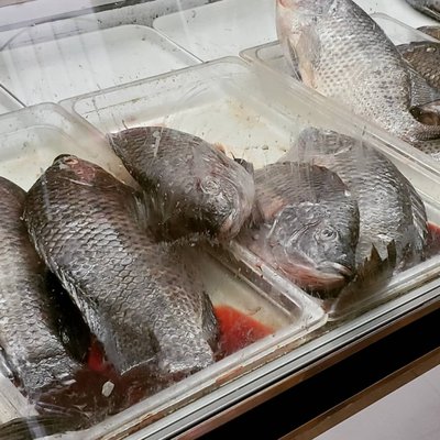Nahrain Fish & Chicken Grill by null