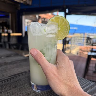 Boulder Social by null