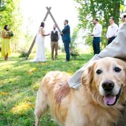 PlumTree Events