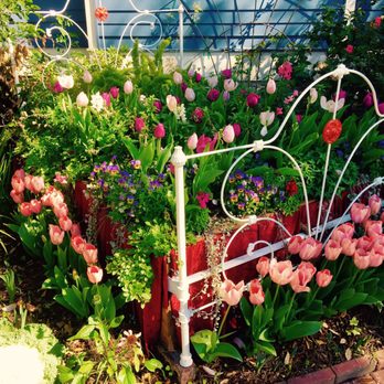 Buchanan's Native Plants - It's an actual flower bed! - Nurseries & Gardening Near Me - Houston, Texas