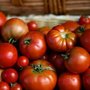 Photo of North Square Farmers Market