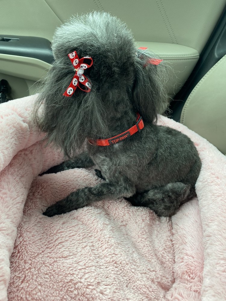 Luckys Yellow Rubber Ducky