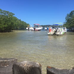 Bar do Mangue