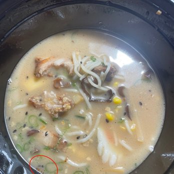 Harmony Steakhouse - Tonkotsu Ramen - Teppanyaki Near Me - Whitestown, Indiana Harmony Steakhouse - Tonkotsu Ramen - Teppanyaki Near Me - Whitestown, Indiana