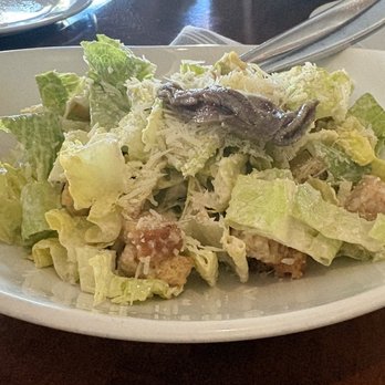 Pescatore Trattoria - Caesar salad - Italian Near Me - San Francisco, California Pescatore Trattoria - Caesar salad - Italian Near Me - San Francisco, California