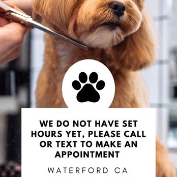 Ikadoodle’s Grooming - Please make an appointment - Pet Groomers Near Me - Waterford, California Ikadoodle’s Grooming - Please make an appointment - Pet Groomers Near Me - Waterford, California