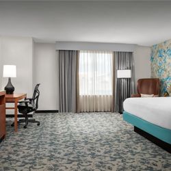 Hilton Garden Inn Fort Worth Medical Center - Guest room