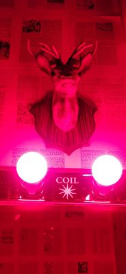 Illuminated Brew Works by null