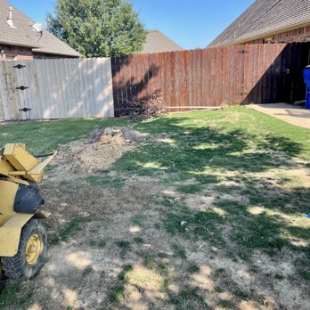 Savage Stump Removal - A stump being totally eradicated by Savage Stump Removal. - Tree Services Near Me Savage Stump Removal - A stump being totally eradicated by Savage Stump Removal. - Tree Services Near Me