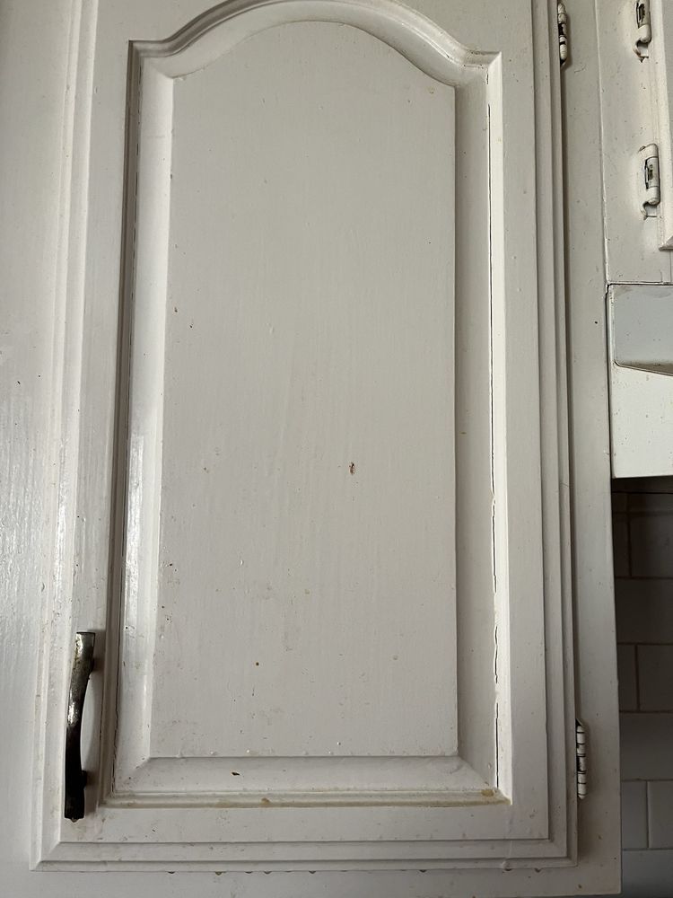 Jessica Riggs Florida JESSICA RIGGS HOUSEKEEPING - Updated June 2026 - 38 Photos - 2019 ...