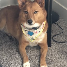 All groomed and smelling clean!