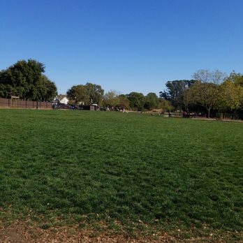 Dogbone Meadows - nice dog park - Pets Near Me - Novato, California Dogbone Meadows - nice dog park - Pets Near Me - Novato, California