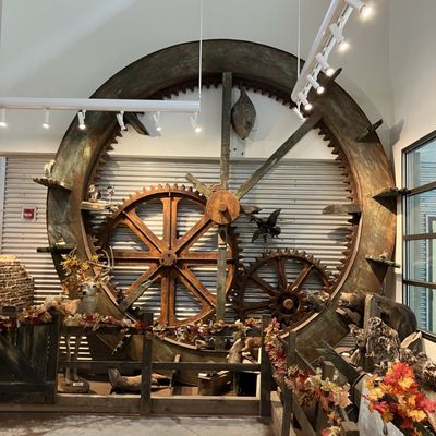 Sweetwater Creek State Park by null