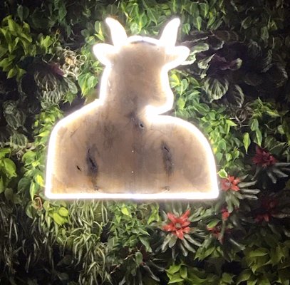 Cannabis Cafe by null