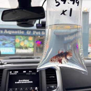 Roger's Aquatic & Pet Supplies - Local Fish Stores Near Me - Surrey, British Columbia Roger's Aquatic & Pet Supplies - Local Fish Stores Near Me - Surrey, British Columbia