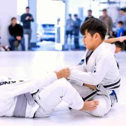 One Jiu Jitsu