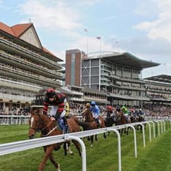 York Racecourse
